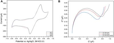 Development of a Biosensor Based on Angiotensin‐Converting Enzyme II for Severe Acute Respiratory Syndrome Coronavirus 2 Detection in Human Saliva